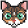 LentilPixelCat