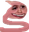 admiralEel