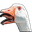 GausGoose