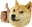 ConfirmDoge