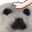 sealPat