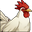 WildRooster