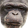 WeirdChimp