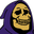 SkeletorSmile