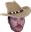 b4nCowboy