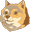 fiddyDoge