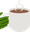 pepeMug