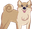 shibeSquint