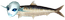 MikauSardine