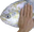 fishPat