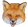 foxcinLUL