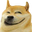 DogeTroll