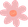 flowerrUwU