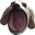 OmegaMyDog