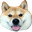 dogeQ