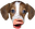 PogDog