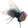 consteOnARandomFly