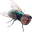 pastaOnARandomFly