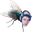 swaggyOnARandomFly