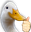 SeemsDuck