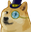 martyDoge