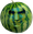 benWatermelon2