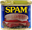 Spammy