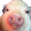 Pigpog64