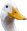 FeelsOkayDuck