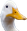 FeelsWeirdDuck