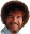 BobRoss