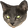 catRage