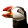 AugustPuffin