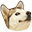 dogeDovolen