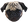 relanPug