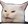 Rlycat