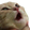 PogCat