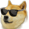 ShakDoge