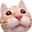 niiroCat