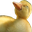 duckGlod
