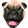 goodPug