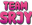 srjyTeam