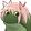 MadokaFroge