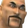 GhostNappa