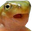 FrogChamp