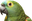 MBCParrot