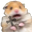 Hamsterjesus