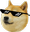 BrenDoge