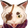 niohCat