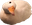 duckY